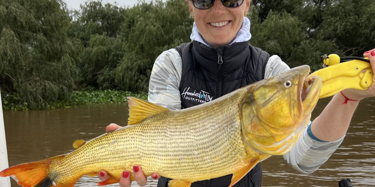 Thrilling Tugs and Tail Bites: Mastering and winging the Art of Dorado Fishing in Rio de la Plata