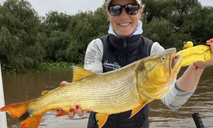 Thrilling Tugs and Tail Bites: Mastering and winging the Art of Dorado Fishing in Rio de la Plata